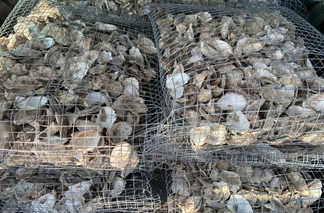 Zakken met lege schelpen