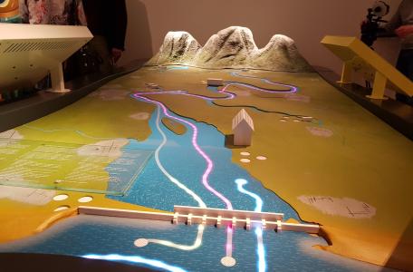 Tentoonstelling Swim Fish Swim!