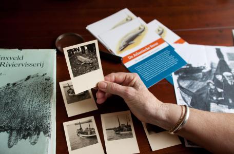 Historische foto van de laatste steur die gevangen werd op de Nieuwe Merwede.