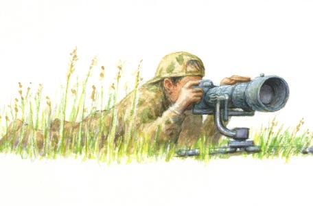 Natuurexpedities in Het Groene Woud