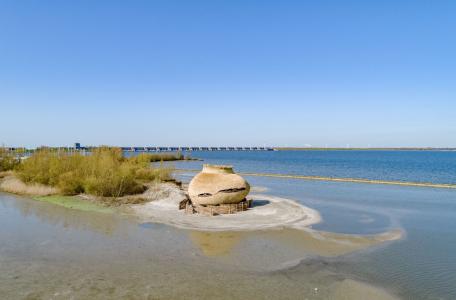 Vogelobservatorium Haringvliet. Foto: Merijn Koelink