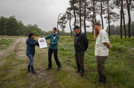 Overhandiging van officiële erkenning voor rewilding initiatief Wisenten op de Veluwe. Foto: Nelleke de Weerd, Rewilding Europe