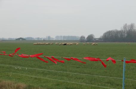 Schaapskudde en fladderlinten (Turbo Fladry)