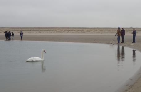 Veldles op de Zandmotor