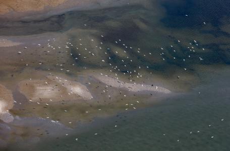 Zandmotor, foto: Rijkswaterstaat - Jurriaan Brobbel