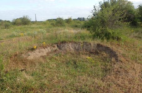 Oude stierenkuil waar de schoorsteenwesp haar nesten bouwt