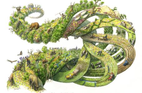 Past, present and future of European nature